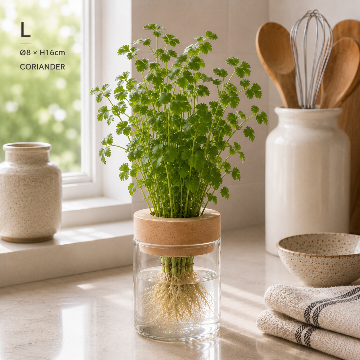 Hydro Kitchen Herb Grow Set