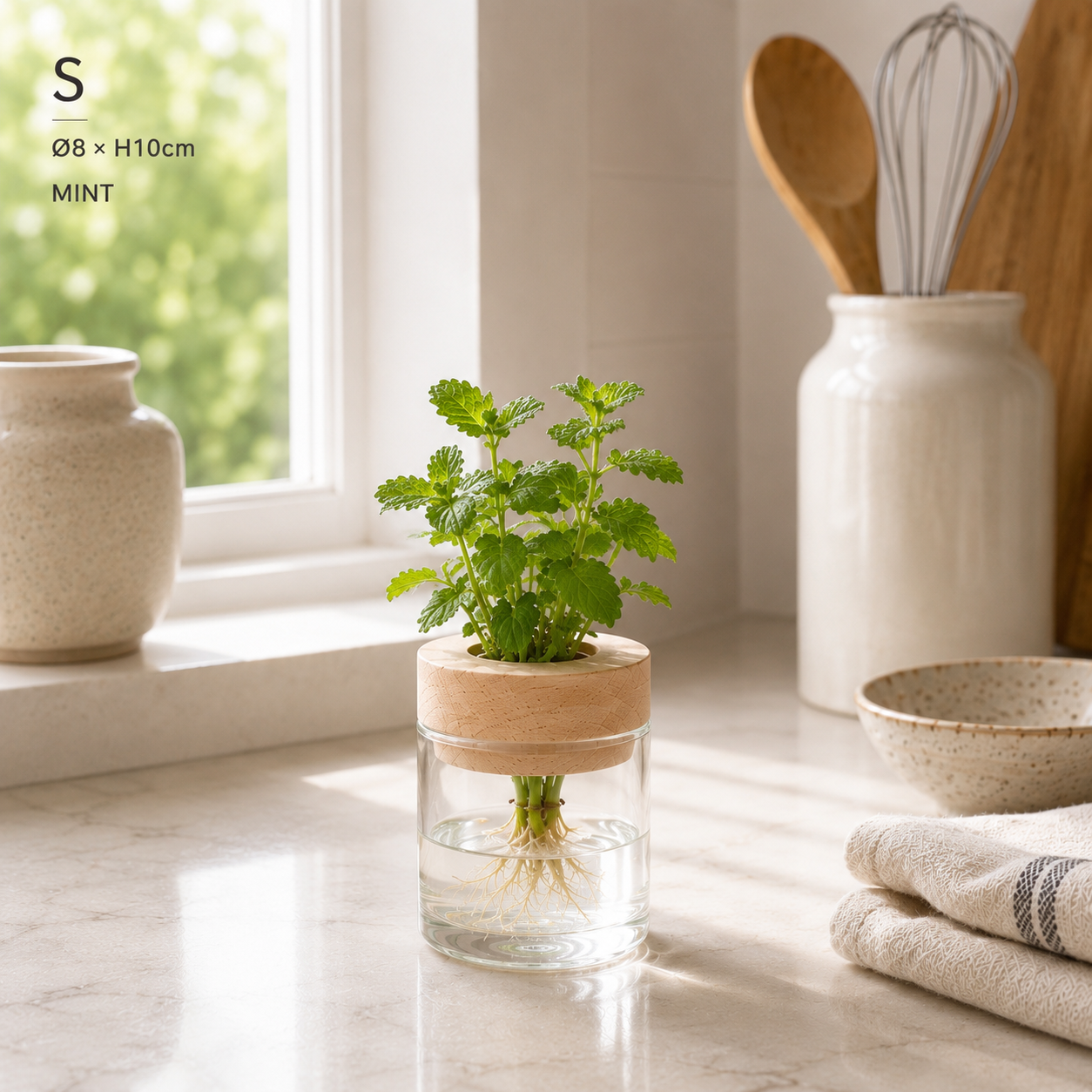 Hydro Kitchen Herb Grow Set
