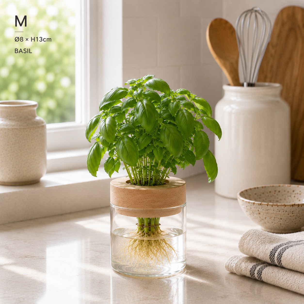 Hydro Kitchen Herb Grow Set